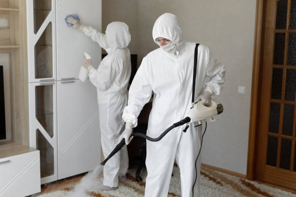 Best Home Mold Removal  in Inesville, GA