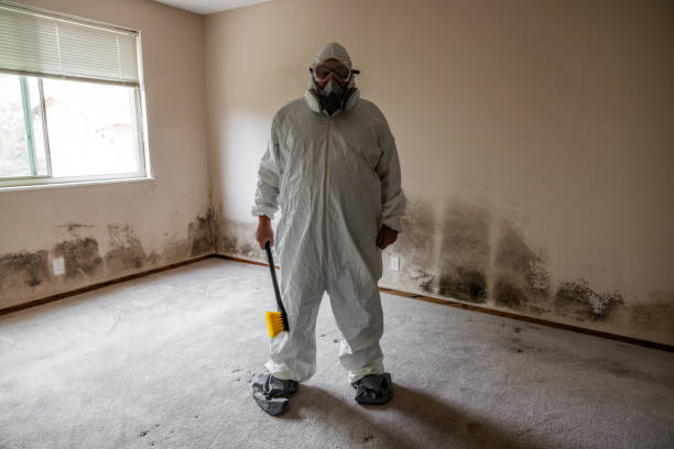 Best Professional Mold Removal  in Inesville, GA